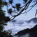 Marine layer, Angeles Crest Highway
2004